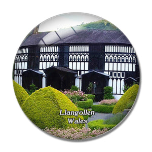 Wales Llangollen Plas Newydd Historic House Gardens UK England 3D Fridge Magnet Crystal Glass