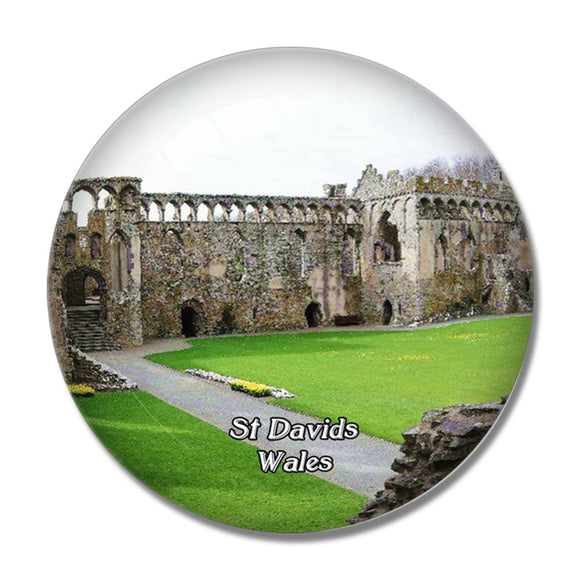 Wales St Davids Bishop's Palace UK England 3D Fridge Magnet Crystal Glass