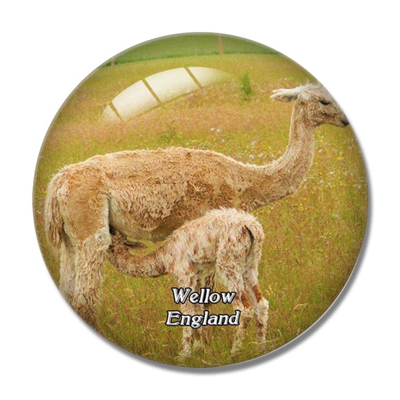 Wellow West Wight Alpacas UK England 3D Fridge Magnet Crystal Glass