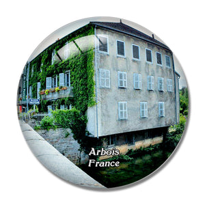 Arbois France Maison de Louis Pasteur 3D Fridge Magnet Crystal Glass