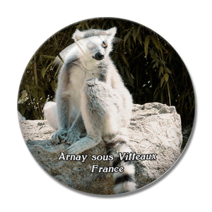 Arnay-sous-Vitteaux France Parc de l'Auxois 3D Fridge Magnet Crystal Glass