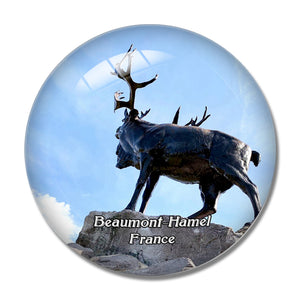 Beaumont-Hamel France Newfoundland Memorial 3D Fridge Magnet Crystal Glass