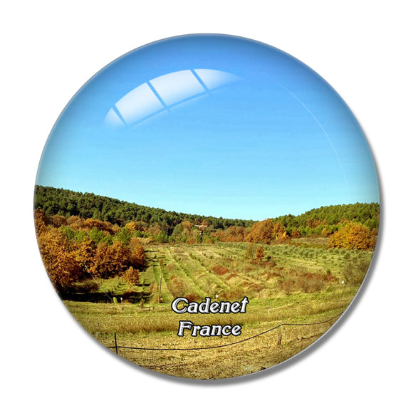 Cadenet France Truffle Hunting at Les Pastras 3D Fridge Magnet Crystal Glass