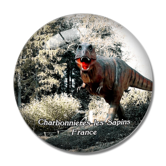 Charbonnieres-les-Sapins France Dino-Zoo 3D Fridge Magnet Crystal Glass