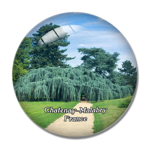 Chatenay-Malabry France Arboretum de la Vallee-aux-Loups 3D Fridge Magnet Crystal Glass