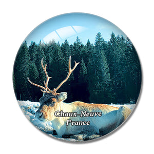 Chaux-Neuve France Parc Polaire 3D Fridge Magnet Crystal Glass