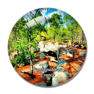 Fontainebleau France Forest 3D Fridge Magnet Crystal Glass