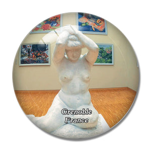 Grenoble France Musee 3D Fridge Magnet Crystal Glass