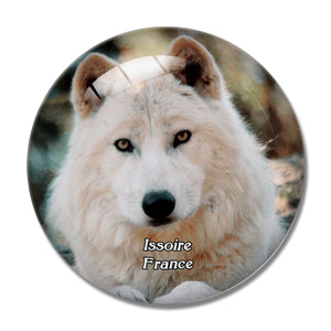 Issoire France Parc Animalier d'Auvergne 3D Fridge Magnet Crystal Glass