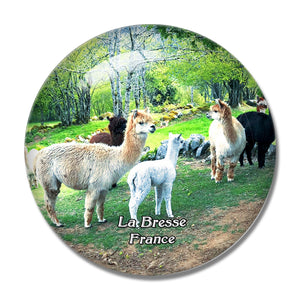 La Bresse France La Montagnes des Lamas 3D Fridge Magnet Crystal Glass