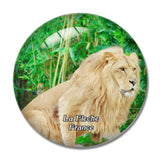 La Fleche France Zoo 3D Fridge Magnet Crystal Glass