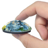 Les Vans France Bois de Paiolive 3D Fridge Magnet Crystal Glass