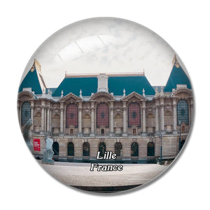 Lille France Palais des Beaux-Arts 3D Fridge Magnet Crystal Glass