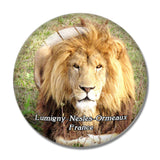 Lumigny-Nesles-Ormeaux France Parc des Felins 3D Fridge Magnet Crystal Glass