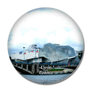 Lyon France Musee des Confluences 3D Fridge Magnet Crystal Glass