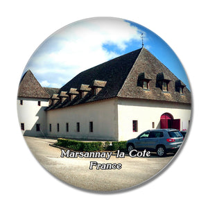 Marsannay-la-Cote France Chateau 3D Fridge Magnet Crystal Glass