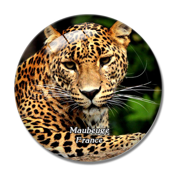 Maubeuge France Parc Zoologique 3D Fridge Magnet Crystal Glass