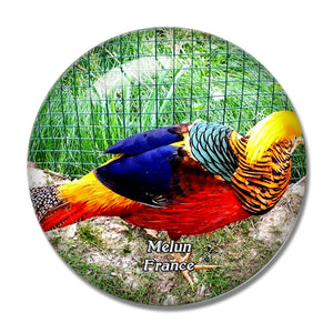 Melun France Zoo du Bois d'Attilly 3D Fridge Magnet Crystal Glass