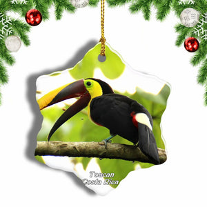 Costa Rica Toucan Christmas Ornament 3 Inches Snow