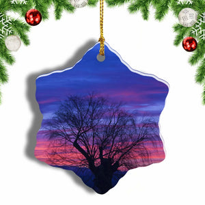 Mendoza Sunset Argentina Christmas Ornament 3 Inches Snow