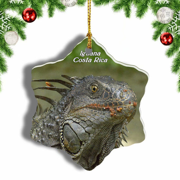 Costa Rica Iguana Christmas Ornament 3 Inches Snow