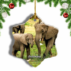 Elephant Moremi Wildlife Reserve Botswana Christmas Ornament 3 Inches Snow