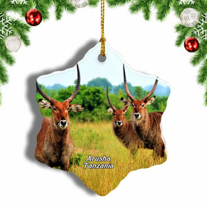 Antelope Arusha Tanzania Christmas Ornament 3 Inches Snow