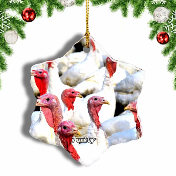 Turkey Birds Christmas Ornament 3 Inches Snow