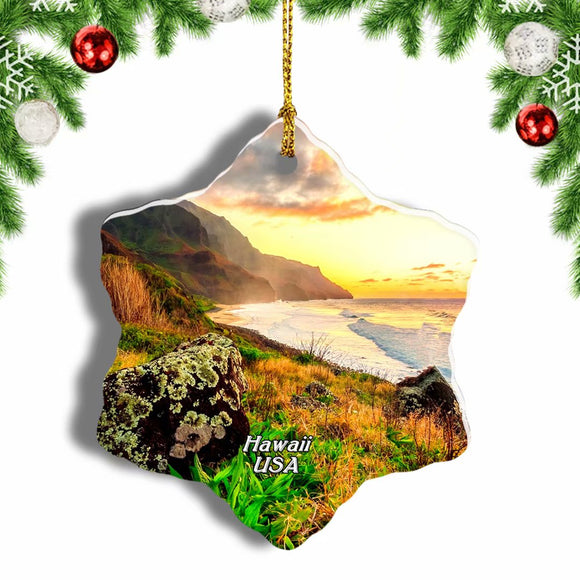 USA America Hawaii Christmas Ornament 3 Inches Snow