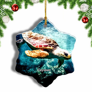 Turtle Cayman UK Christmas Ornament 3 Inches Snow