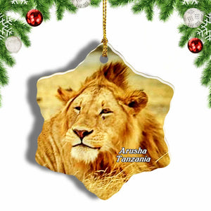 Lion Arusha Tanzania Christmas Ornament 3 Inches Snow