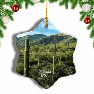 USA America Arizona-Sonora Desert Museum Tucson Christmas Ornament 3 Inches Snow