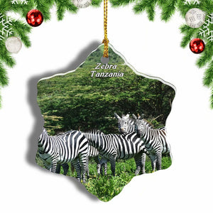 Tanzania Animals Zebra Christmas Ornament 3 Inches Snow