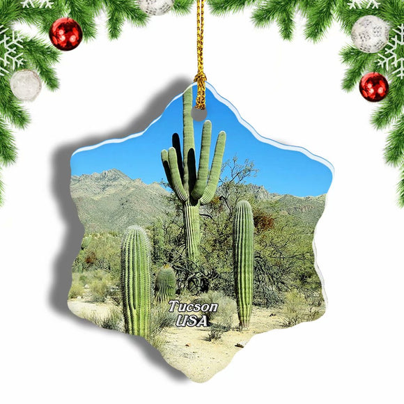 USA America Sabino Canyon Tucson Christmas Ornament 3 Inches Snow