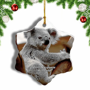 Australia Koala Hospital Port Macquarie Christmas Ornament 3 Inches Snow