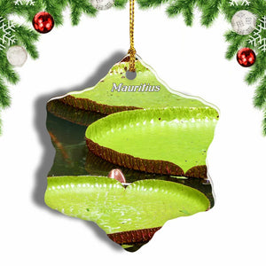 Mauritius PamplemousseGarden Christmas Ornament 3 Inches Snow