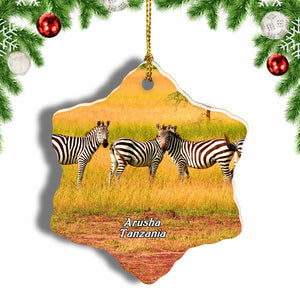 Zebra Arusha Tanzania Christmas Ornament 3 Inches Snow