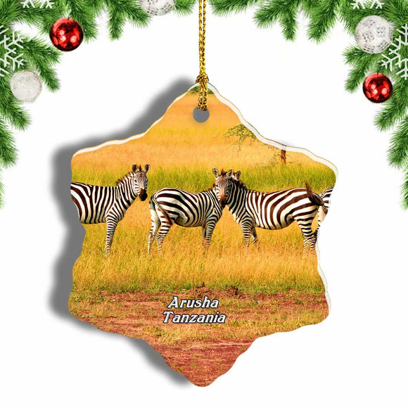 Zebra Arusha Tanzania Christmas Ornament 3 Inches Snow