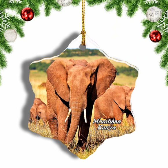 Haller Park Mombasa Kenya Christmas Ornament 3 Inches Snow