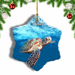 Belize Ambergris Turtle Christmas Ornament 3 Inches Snow