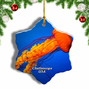 USA America Tennessee Aquarium Chattanooga_ Christmas Ornament 3 Inches Snow