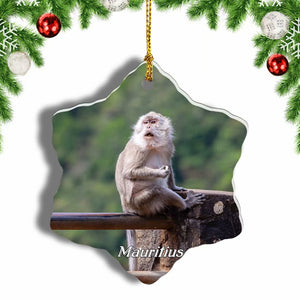 Mauritius Long Tailed Macaque Christmas Ornament 3 Inches Snow