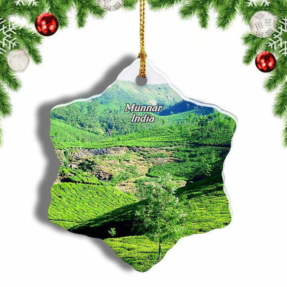 India Tea Gardens Munnar Christmas Ornament 3 Inches Snow