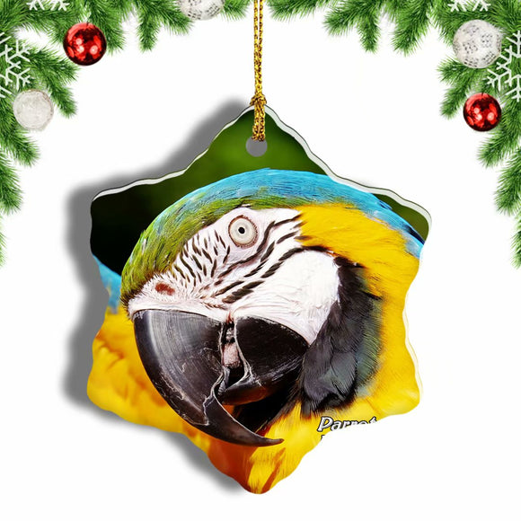 Brazil Parrot Birds Christmas Ornament 3 Inches Snow