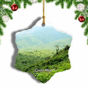 Costa Rica Monteverde Cloud Forest Reserve Christmas Ornament 3 Inches Snow