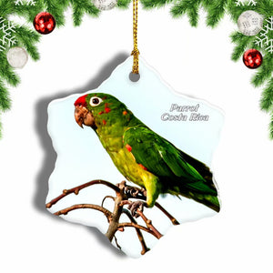 Costa Rica Parrot Bird Christmas Ornament 3 Inches Snow