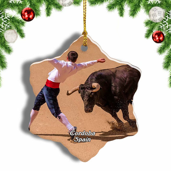 Spain Bullfighting Museum Cordoba Christmas Ornament 3 Inches Snow