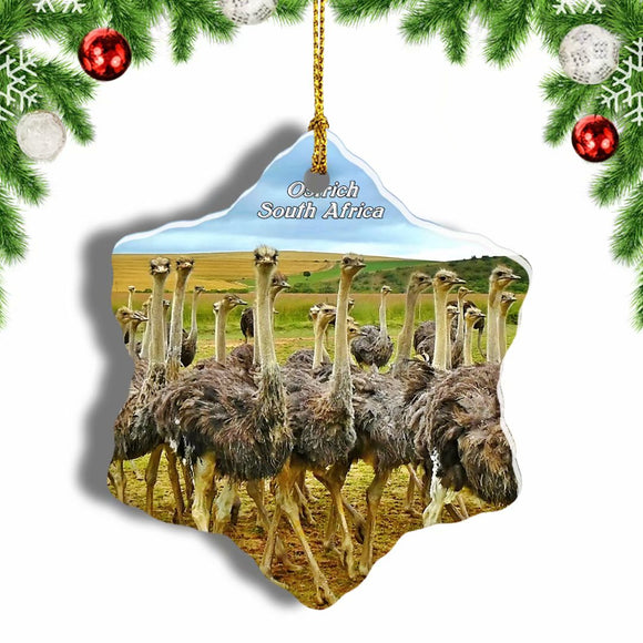 South Africa Bird Ostrich Christmas Ornament 3 Inches Snow