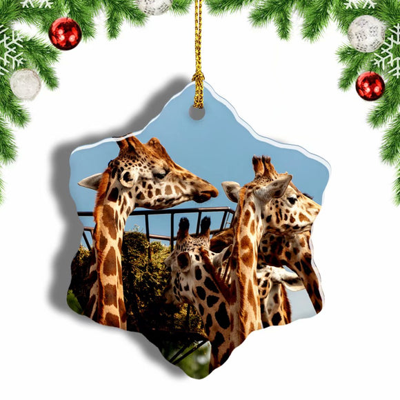 Norway Bergen Zoo Giraffe Christmas Ornament 3 Inches Snow