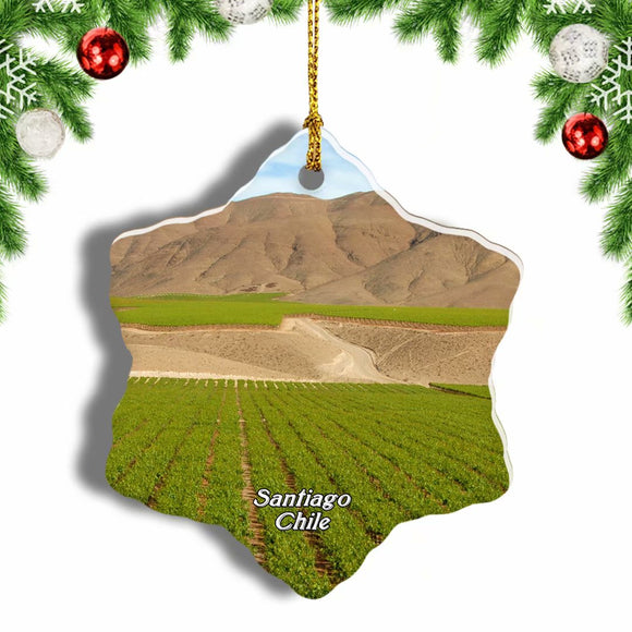 Vina Cousino Macul Winery Santiago Chile Christmas Ornament 3 Inches Snow